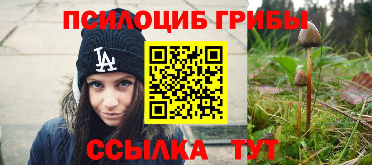 Белгород  Галлюциногенные грибы Psilocybe  Вход с VPN 